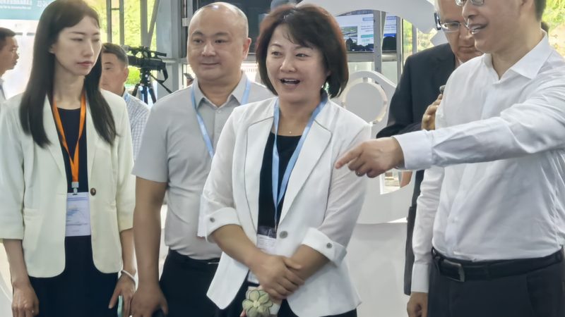 汽车零部件型号：解码原厂与副厂的奥秘